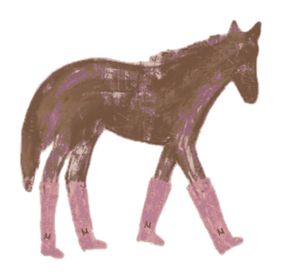 vera.u.from fashion horse